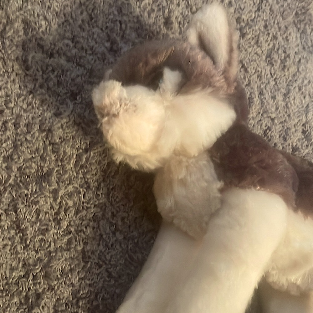 Wolf used the bearington collection cute soft